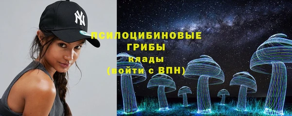 прущий лед Арсеньев