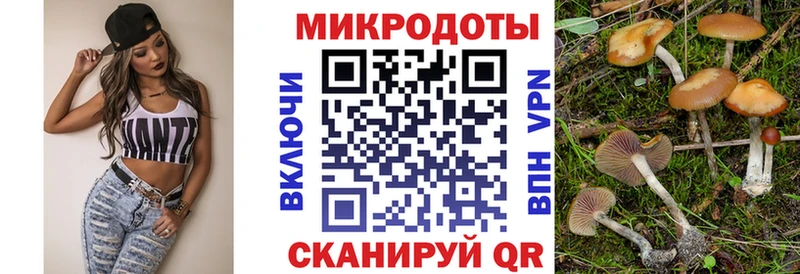 Галлюциногенные грибы Psilocybine cubensis Онега